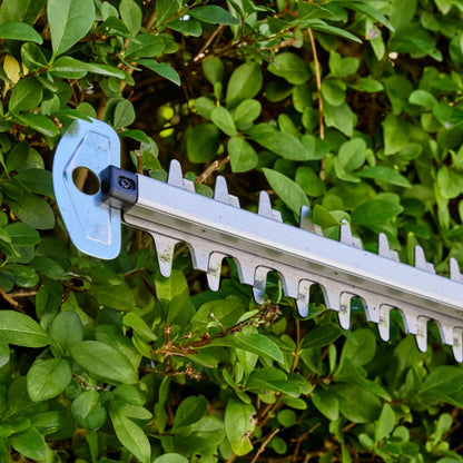 Teleskopisk Hækkeklipper 550W 50 cm MPHT55050