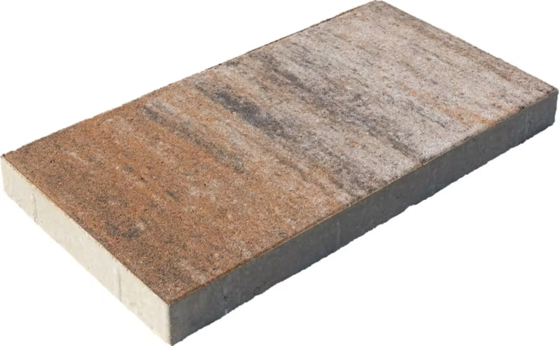 Terrasseflise Triest 30x60x5 cm Muslingekalk