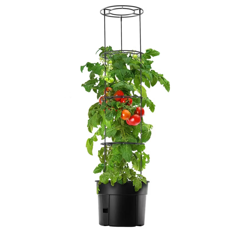 Tomatpotte Farsala 28 Liter Antracit | 5903699472927