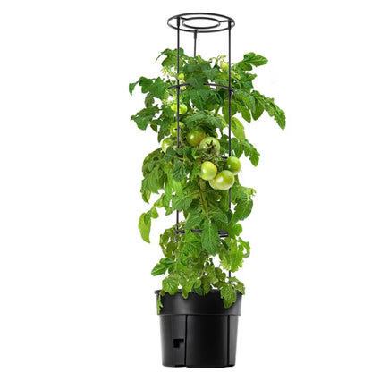 Tomatpotte Farsala 12 Liter Antracit