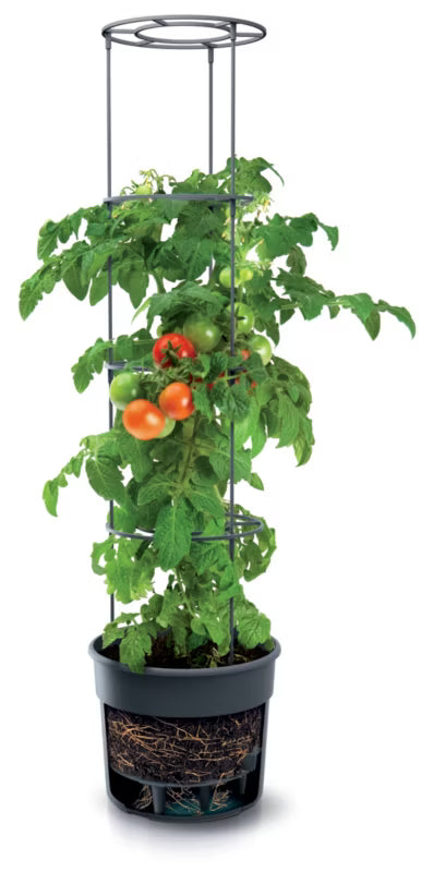 Tomatpotte IPOM400 Ø39,2 cm Antracit