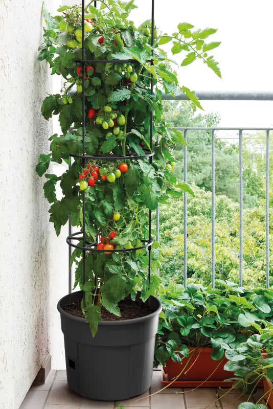 Tomatpotte IPOM400 Ø39,2 cm Antracit