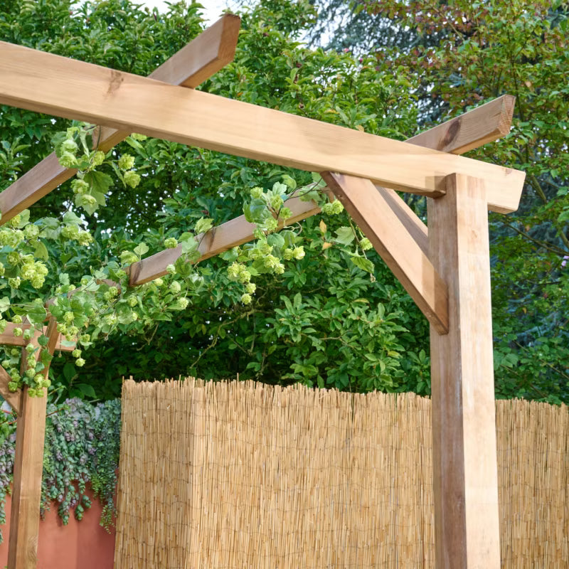 Træpergola Ladna 3x4 m Brun