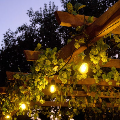 Træpergola Ladna 3x4 m Brun