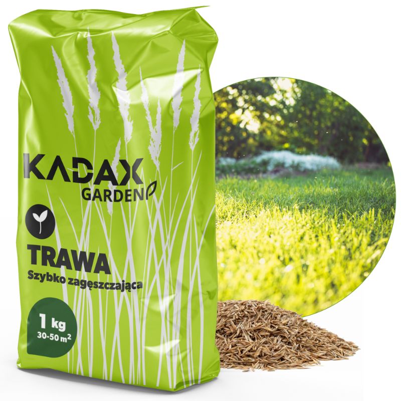 KADAX universel hurtigt tætte græsfrø 1 kg til 40 m²