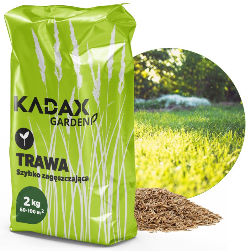 KADAX universel hurtigt tætte græsfrø 2 kg til 80 m²