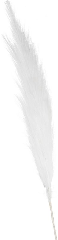 Jumi hvid pampasgræs 80 cm