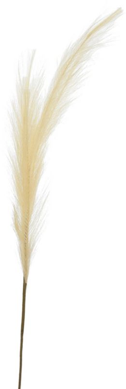 Jumi pampasgræs i creme, 80 cm