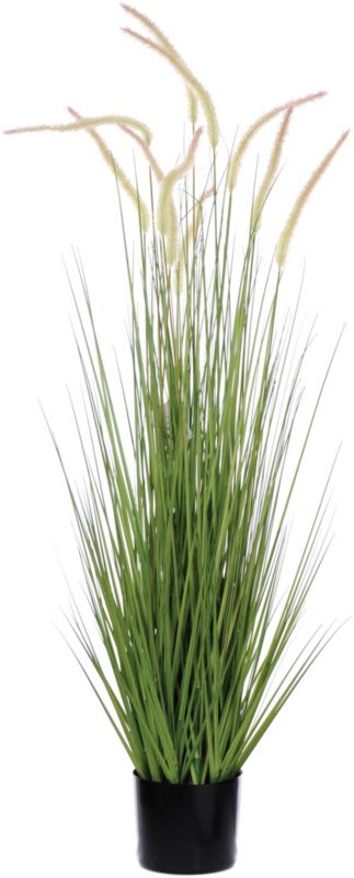 Plastikgræs Jumi Dogtail i potte 121 cm
