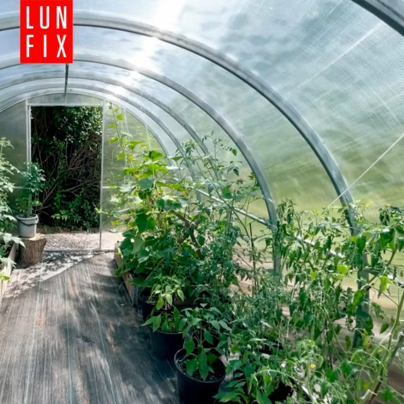 Tunneldrivhus 3x4 m Polycarbonat 12 m² Transparent