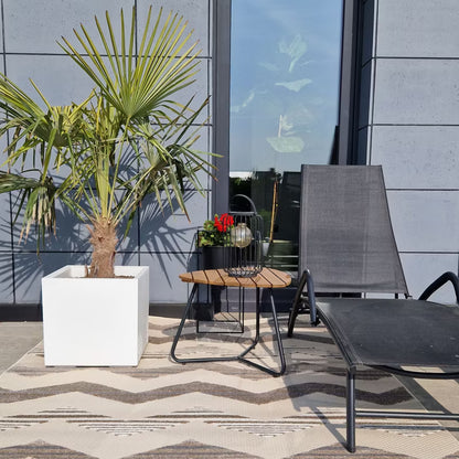Udendørs Gulvtæppe Aventura 160x230 cm Beige