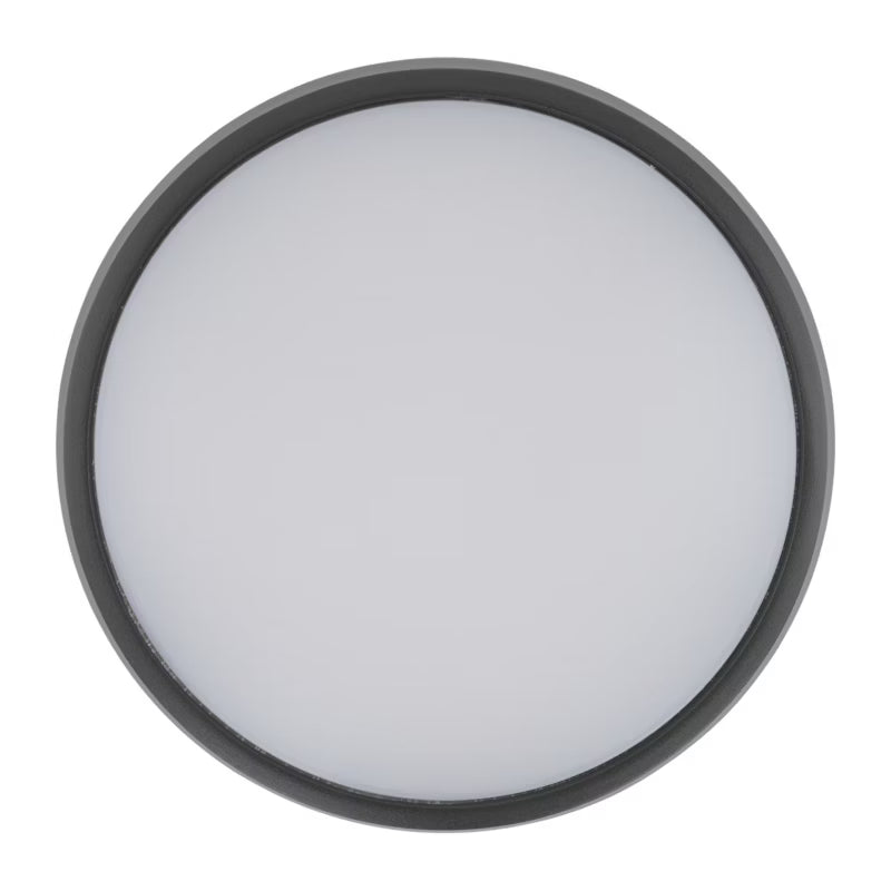Udendørs Loftlampe LED Rund 24,5 cm Grafit IP54