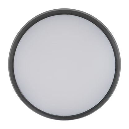 Udendørs Loftlampe LED Rund 24,5 cm Grafit IP54