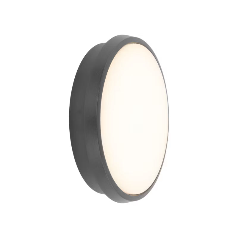 Udendørs Loftlampe LED Rund 24,5 cm Grafit IP54