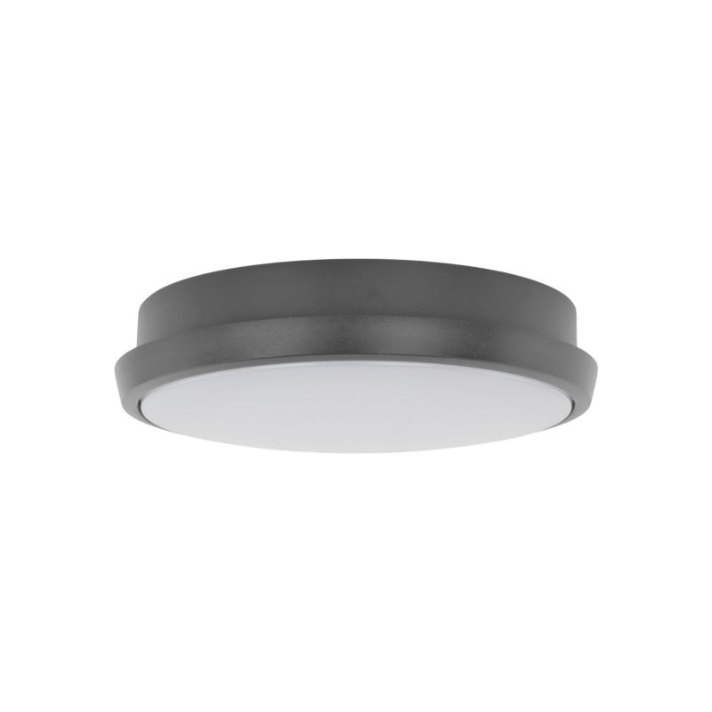 Udendørs Loftlampe LED Rund 24,5 cm Grafit IP54