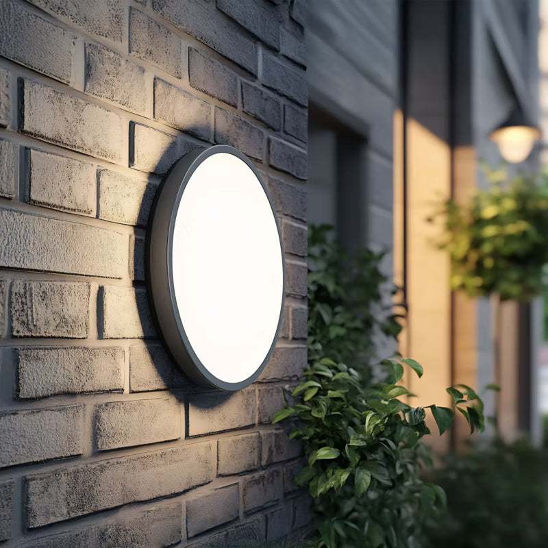 Udendørs Plafond LED Sferis 24,5 cm Sort IP54