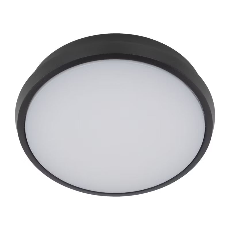 Udendørs Plafond LED Sferis 24,5 cm Sort IP54