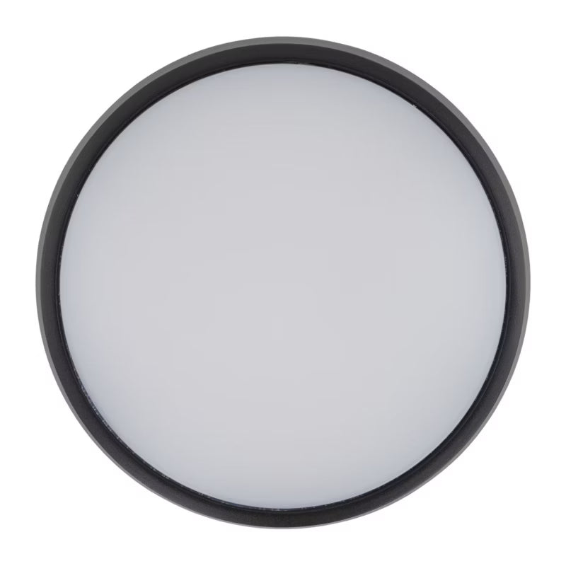 Udendørs Plafond LED Sferis 24,5 cm Sort IP54
