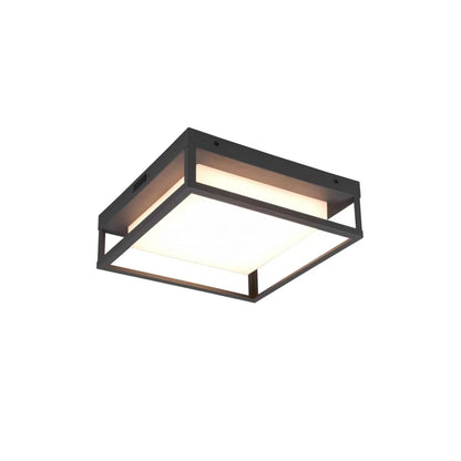 Udendørs Loftlampe LED 14W 30 cm Grå IP54