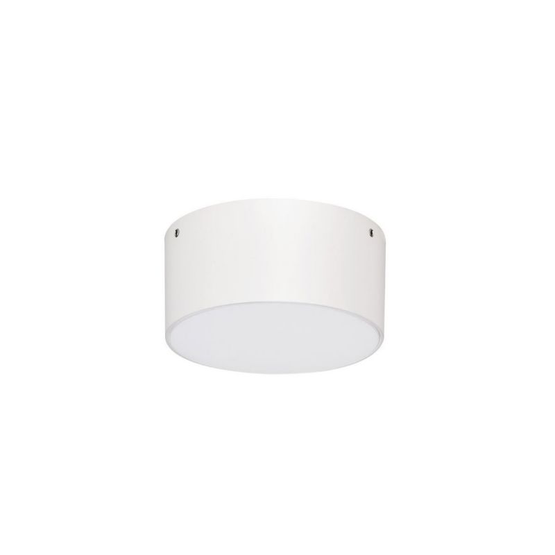 Udendørs Påbygningsspot LED 10W Hvid IP65