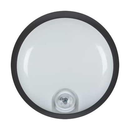 Udendørs Væglampe LED Rund 16,7 cm Sort IP65