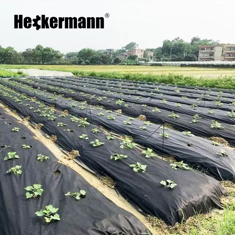 Ukrudtsdug 1,6x50 m 100g/m² Sort
