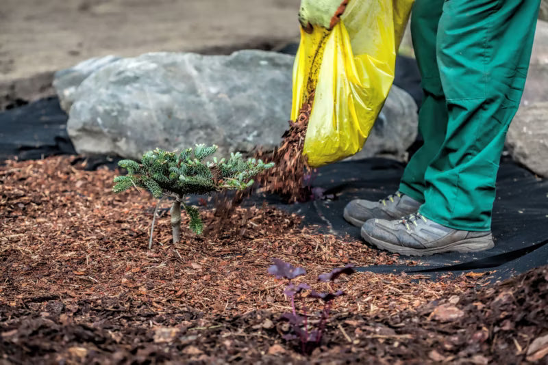 Ukrudtsdug 150 g/m² 2x57 m Sort 114 m²