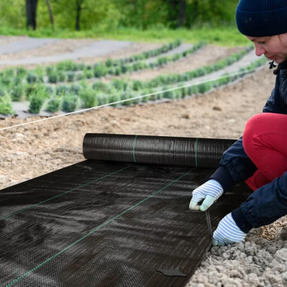 Ukrudtsdug 2x50 m Sort 90g/m²