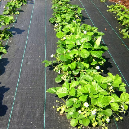 Ukrudtsdug 3,2x20 m 90 g/m² Sort