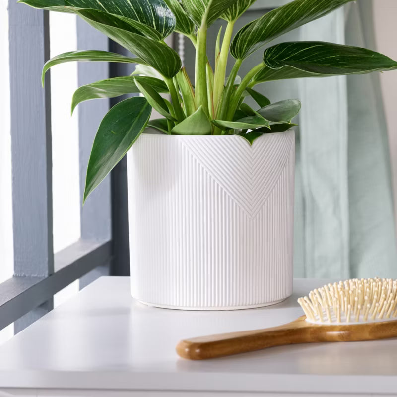 Urtepotteskjuler Lodrette Striber 14 cm Hvid