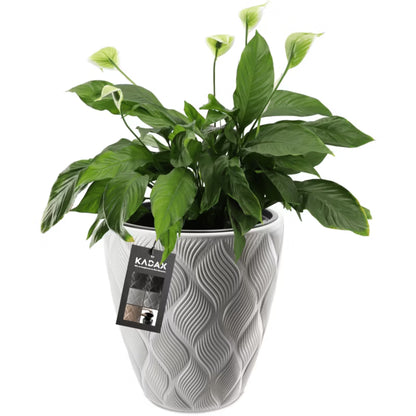 Urtepotteskjuler med Indsats 29x29x32,5 cm Hvid