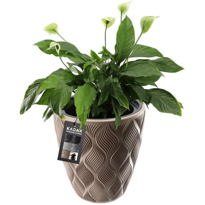 Urtepotteskjuler med Indsats 42 cm Beige