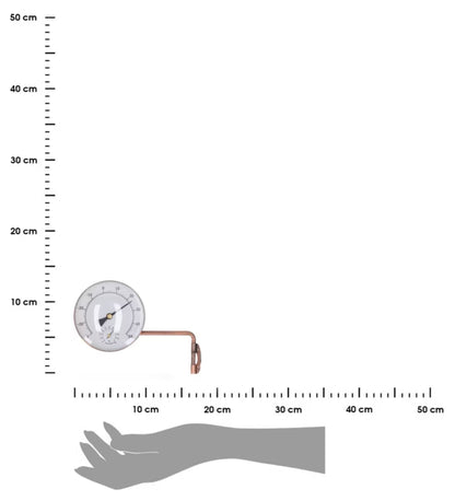Vægtermometer Udendørs 17,7x13 cm Metal med Hygrometer