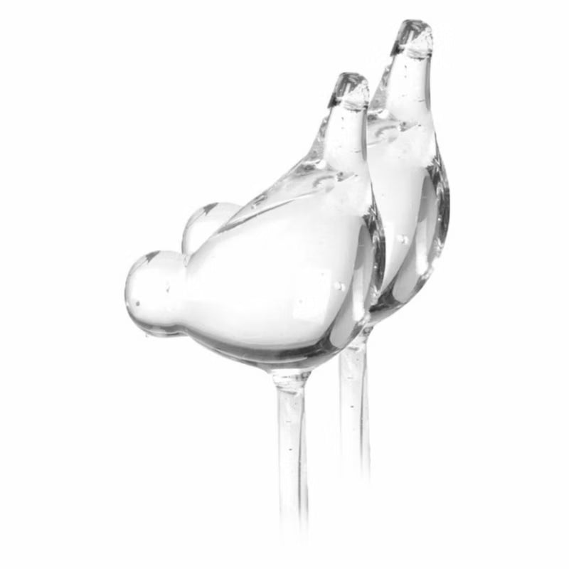 Vandingskugler Fugle 40 cm Transparent Glas 2 Stk