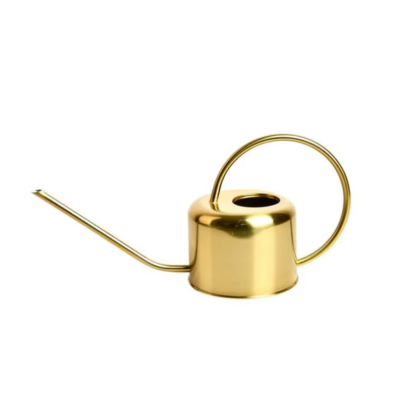 Vandkande 1 Liter Guld Zink