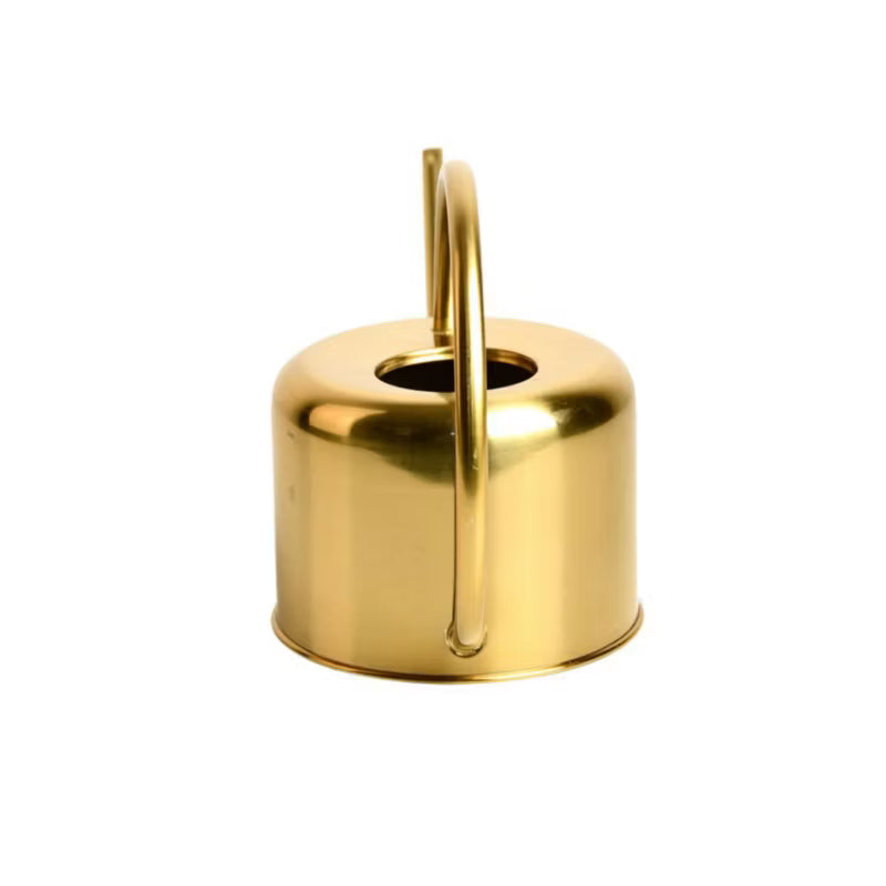 Vandkande 1 Liter Guld Zink