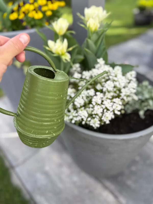 Vandkande 1 Liter Mørkegrøn Stål