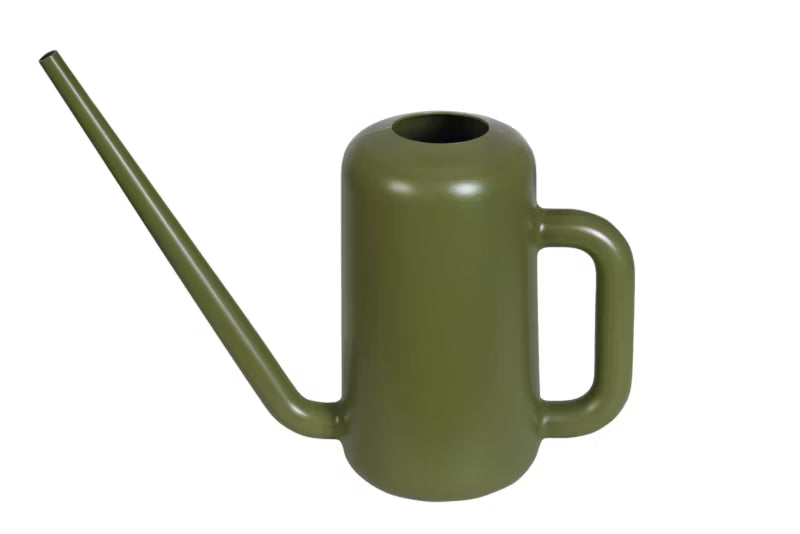 Vandkande Pilea 3,8 Liter Olivengrøn