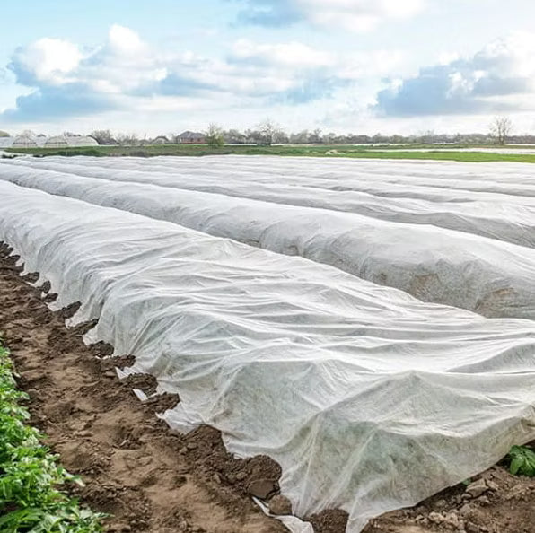 Vinterfiberdug 1,6x5 m Hvid 70 g/m²