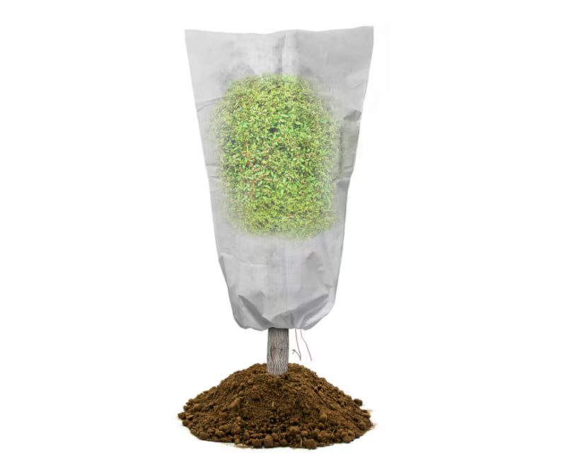 Vinterhætte til Planter 50x80 cm Hvid