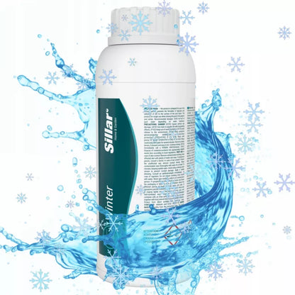 Vintermiddel til Pool 1 Liter