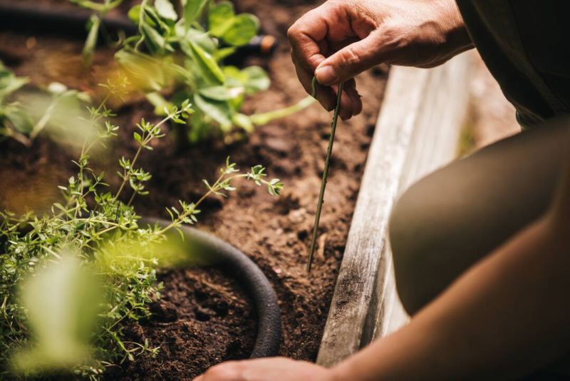 Fiskars havevandslange 15 m