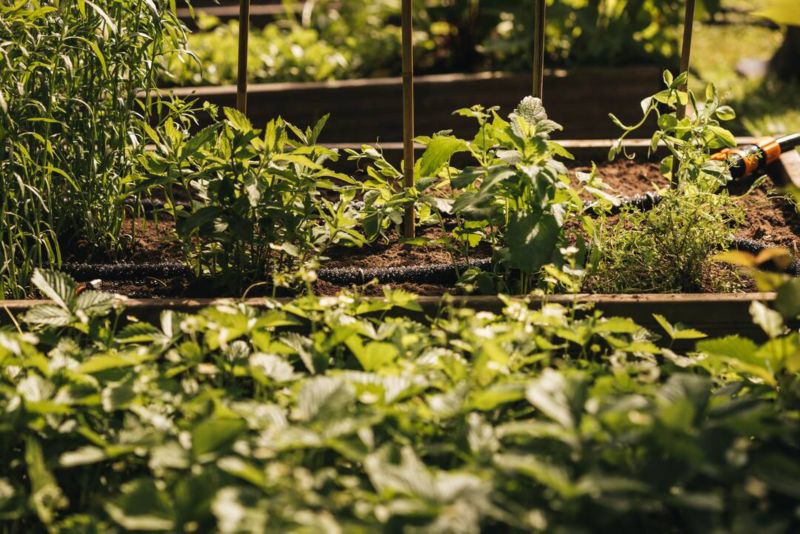 Fiskars havevandslange 15 m