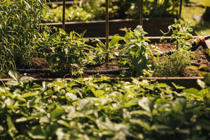 Fiskars havevandslange 15 m