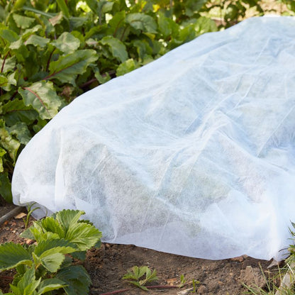 Beskyttelsesdug Verve 1 x 2 m 100 g/m²