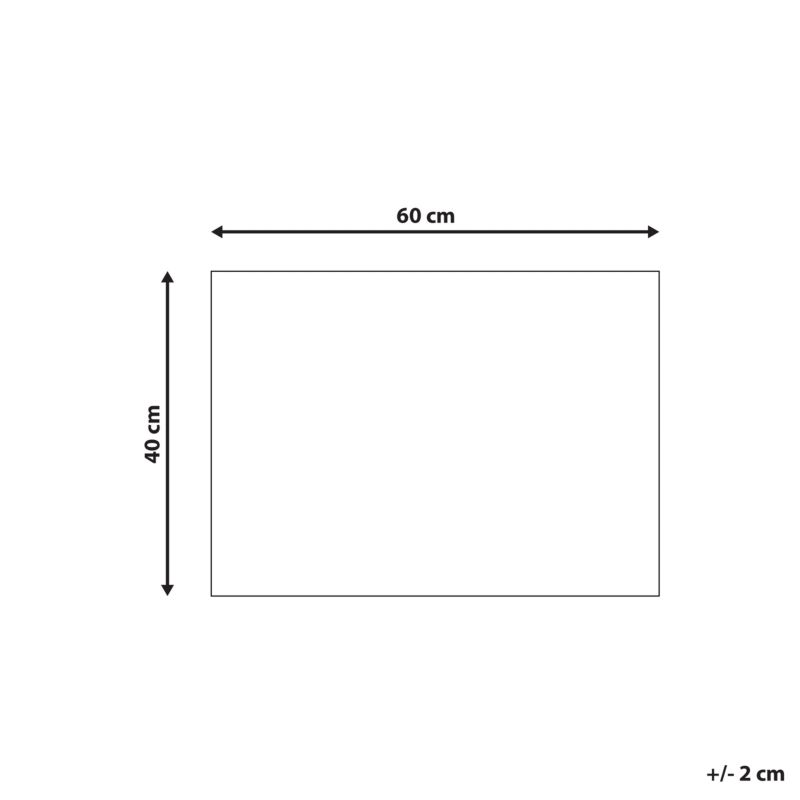 Dørmåtte 40 x 60 cm Flerfarvet Kokosfiber