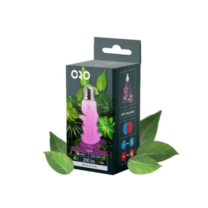 LED-pære DPM E27 200 lm 1300 K til planter