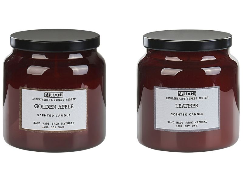 Sæt med 2 duftlys Absolute Alchemy Sojavoks Frugtagtige noter Friske noter 1 par