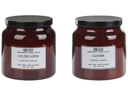 Sæt med 2 duftlys Absolute Alchemy Sojavoks Frugtagtige noter Friske noter 1 par