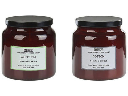 Sæt med 2 duftlys Absolute Alchemy i sojavoks med friske noter, 1 par